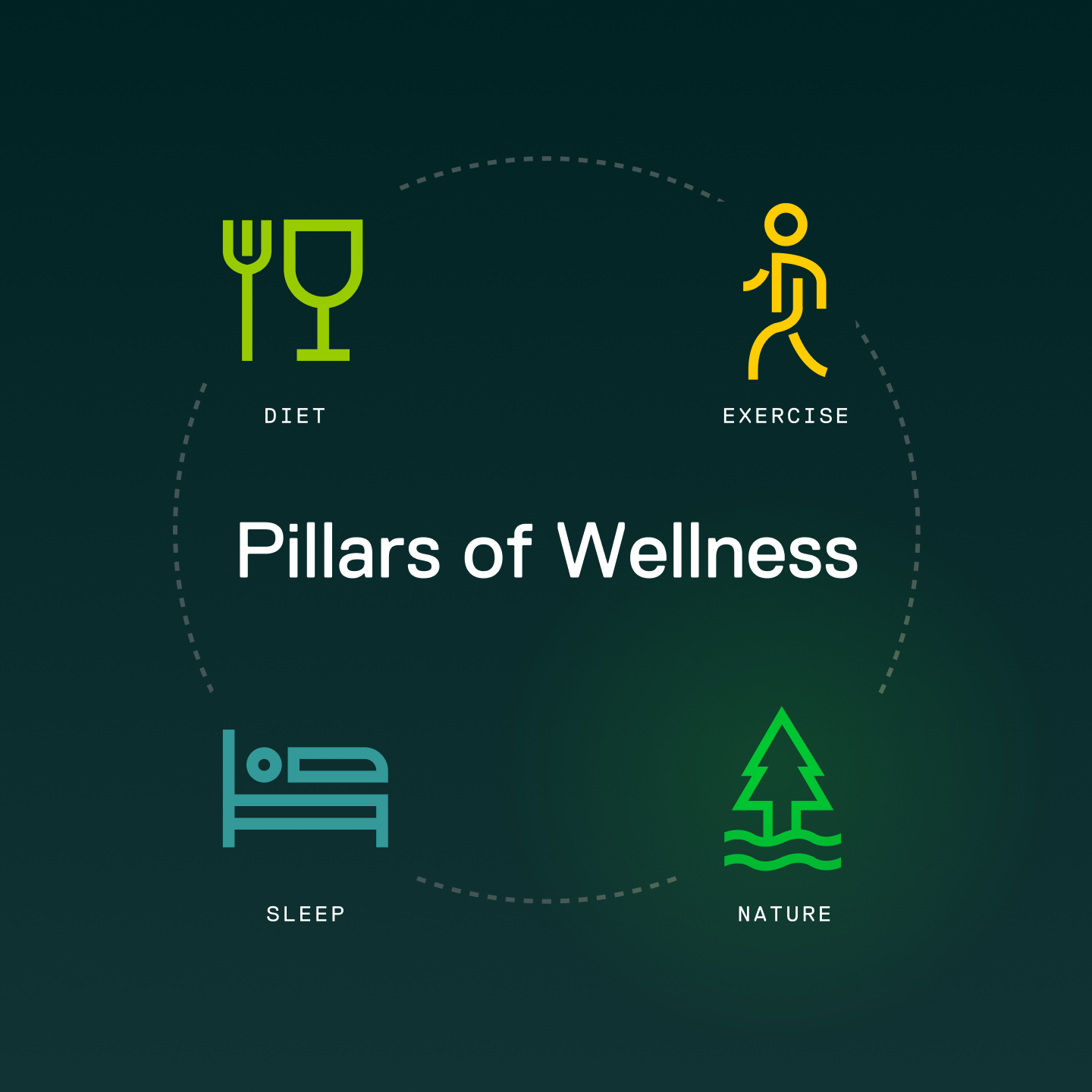 NatureDose Pillars of Wellness Icons