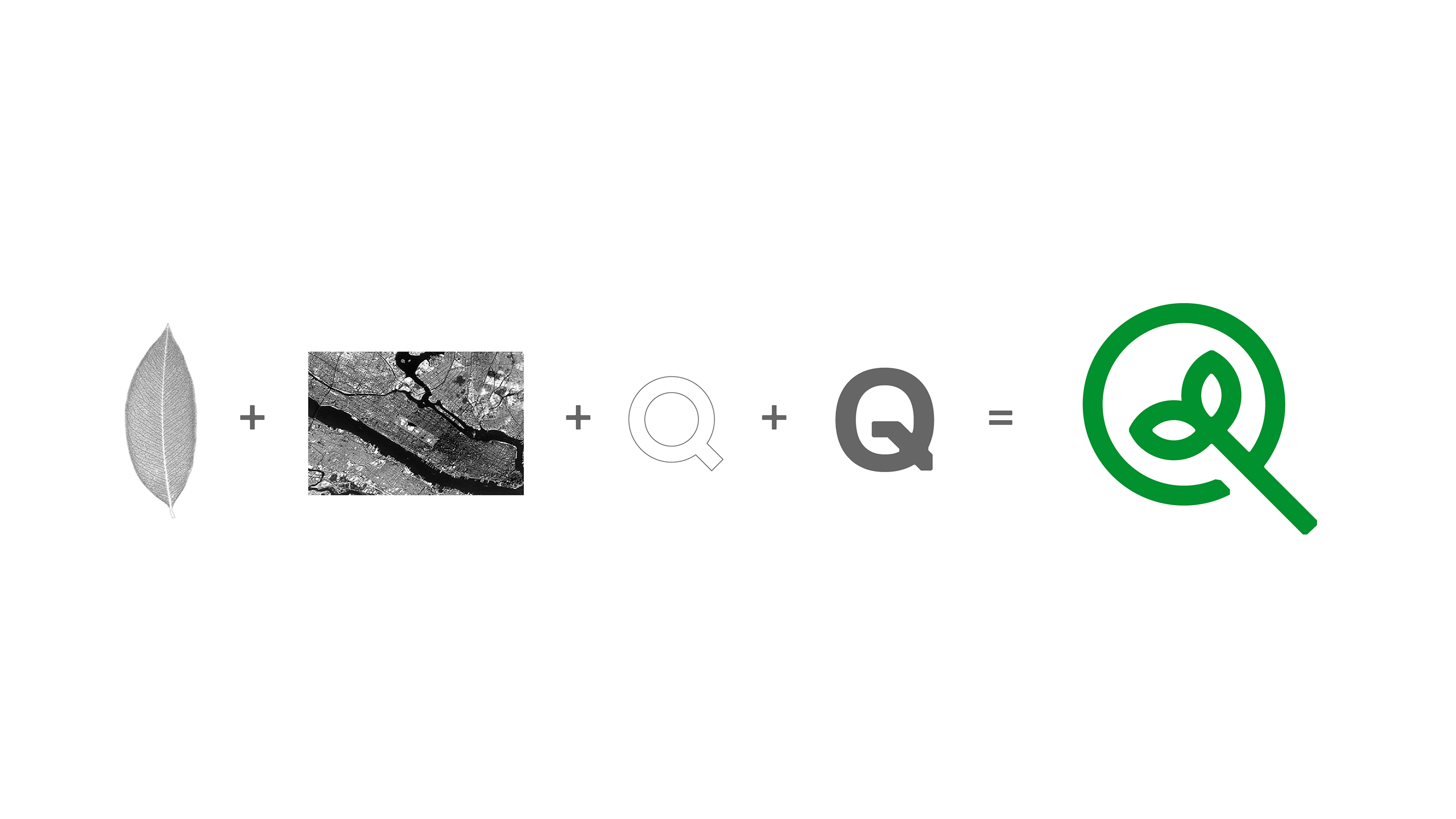 NatureQuant logo equation