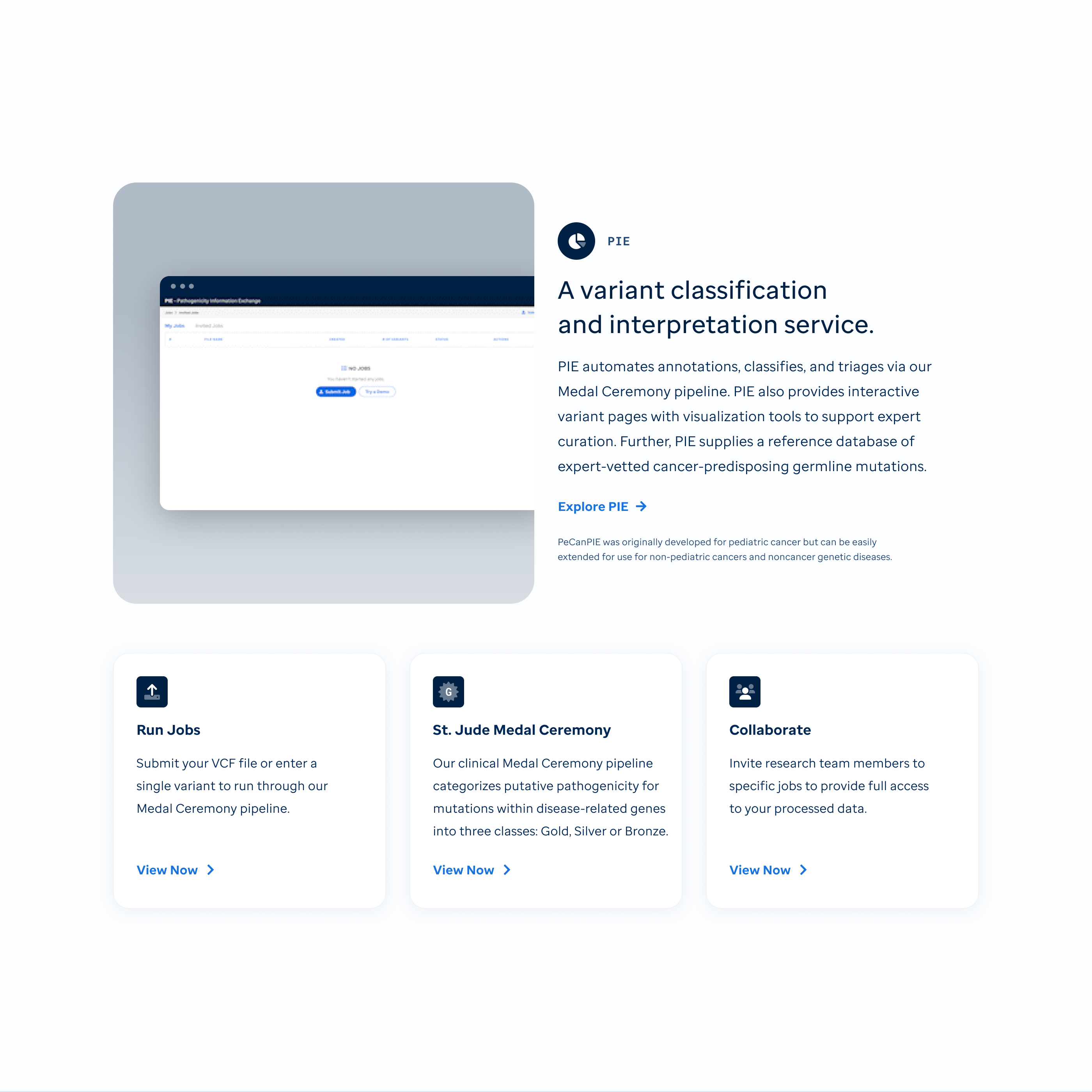 Pie chart homepage